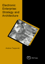 Electronic Enterprise: Strategy and Architecture